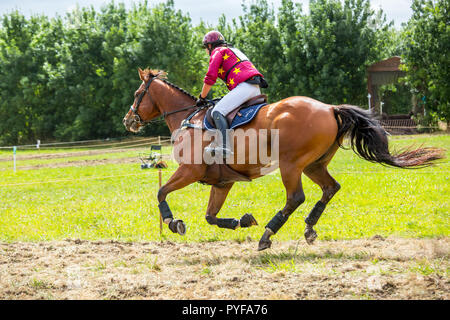 Saint Cyr du Doret, France - le 29 juillet 2016 : Cavalier sur son cheval au galop lors d'une manisfestation de cross-country Banque D'Images