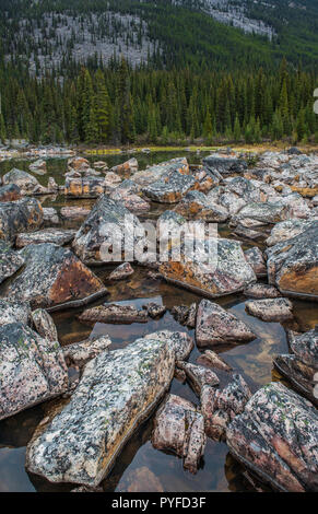 Rochers couverts de lichen, Jonas Rock Slide, Jasper NP, Alberta, Canada, par Bruce Montagne/Dembinsky Assoc Photo Banque D'Images