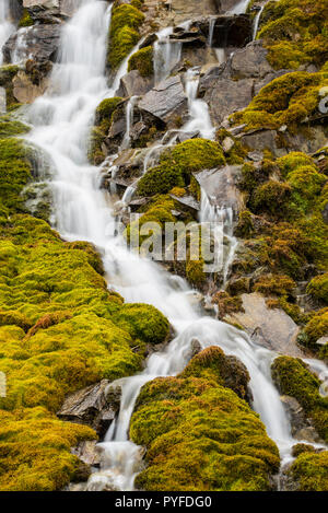 Rochers moussus, glaciers, Banff NP, Alberta, Canada, par Bruce Montagne/Dembinsky Assoc Photo Banque D'Images