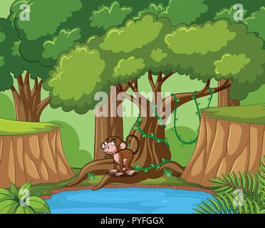 Monkey vit dans la forêt illustration Illustration de Vecteur