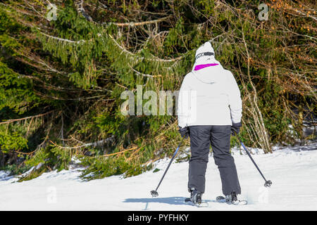 GERARDMER, FRANCE - DEC 17- Gros plan sur le skieur au cours de l'école d'hiver de la maison de vacances le Feb 17, 2015 à Gerardmer, France Banque D'Images