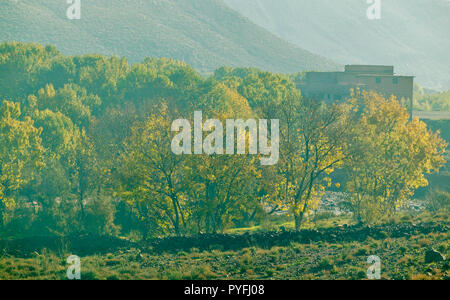 Maroc l'automne les feuilles des arbres poussant le long d'un Torrent Banque D'Images