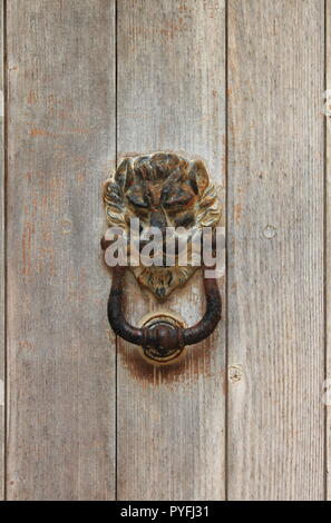 Tête de lion en bronze knocker sur une porte en bois Banque D'Images