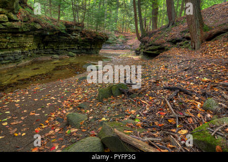 Une belle scène Sulpher Springs le long de la Creek dans l'Ohio Bentleyville pendant les couleurs de l'automne. Situé dans le sud Chagrin Me Cleveland Réservation Banque D'Images