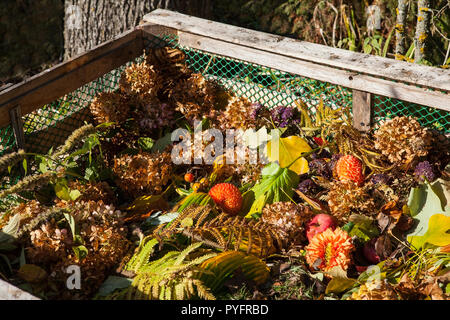 Image de bac à compost dans le jardin d'automne Banque D'Images