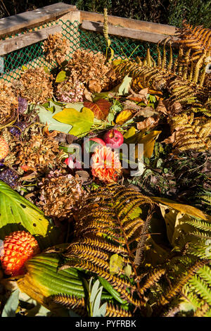 Image de bac à compost dans le jardin d'automne Banque D'Images