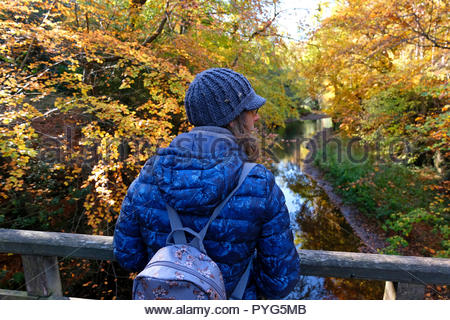 Edinburgh, Royaume-Uni. 27 octobre, 2018. Walker profiter du plein air à Dalkeith Country Park avec les couleurs de l'automne. Credit : Craig Brown/Alamy Live News. Banque D'Images