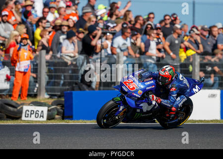 Melbourne, Australie. Dimanche, 28 octobre, 2018. Phillip Island, Australie. La Race. Maverick Viñales, Movistar Équipe MotoGP Yamaha. Le vainqueur de l'épreuve. Credit : Russell Hunter/Alamy Live News Banque D'Images