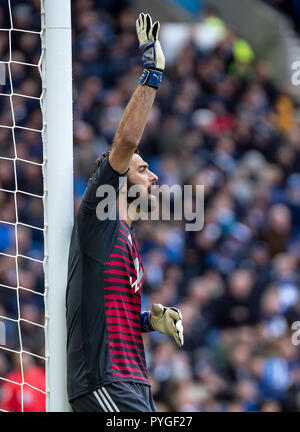 Brighton, UK. 27 Oct 2018. Gardien Rui Patrício de Wolverhampton Wanderers lors du premier match de championnat entre Brighton et Hove Albion Wolverhampton Wanderers et à l'AMEX Stadium, Brighton, Angleterre le 27 octobre 2018. Photo par Liam McAvoy. Credit : UK Sports Photos Ltd/Alamy Live News Banque D'Images