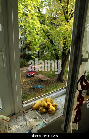 Une vue de la fenêtre à l'automne. Banque D'Images