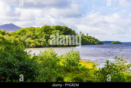 Vue panoramique à partir d'un cheval traditionnelle irlandaise et Jaunting car trip autour du lac Killarney et Park area Banque D'Images