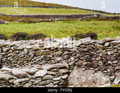 En divisant les murs de pierre de colline sur la côte de l'Irlande près de l'ancienne beehive huts irlandais formé dans la pierre cashels ou fermes dans l'Earl clos Banque D'Images