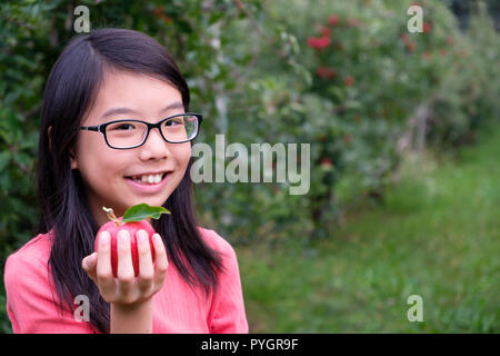 Little Asian girl enfant tenir une pomme rouge dans la région de orchard Banque D'Images