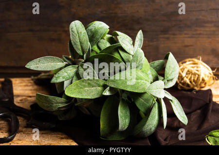 Usine Sage brunch sur une table en bois close up Banque D'Images