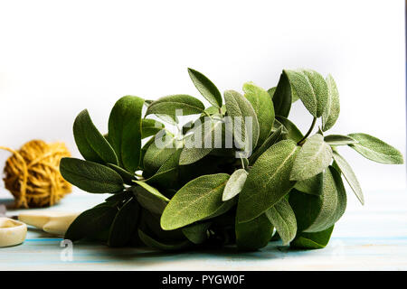 Usine Sage brunch sur une table en bois close up Banque D'Images