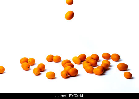 Petit Kumquat orange isolé sur fond blanc Banque D'Images