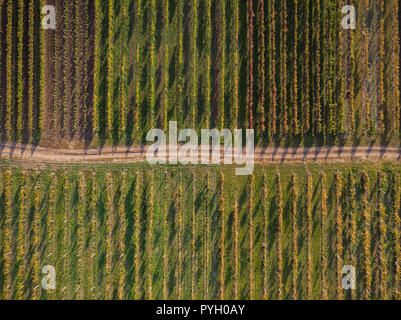 Chemin Rural countryside farmland en Moravie,vue aérienne. Banque D'Images