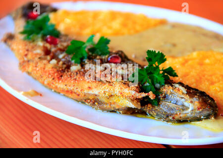 Frit avec banusz la truite. Plat d'une truite poêlée et banusz avec soupe aux champignons. Délicieux plat. Plat cuisiné au restaurant Banque D'Images