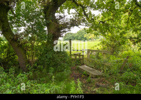 Sentier et style à travers les terres agricoles dans la campagne du Cheshire, près de Sandbach UK Banque D'Images