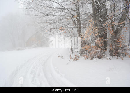 Jour brumeux sur montagne et trace dans la sculpture de neige entre arbres couverts par le givre et petite cabane cachée dans le brouillard et la forêt Banque D'Images