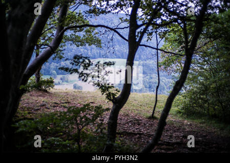 Paysage près de la Saint-Hippolyte, France, Europe. Banque D'Images