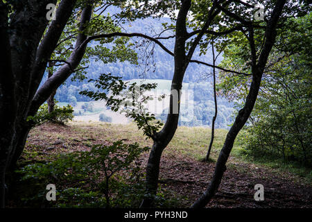 Paysage près de la Saint-Hippolyte, France, Europe. Banque D'Images