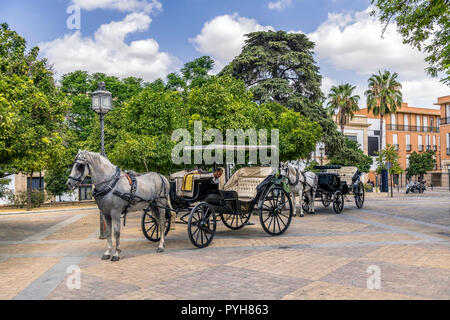 La calèche calèche / attendent des passagers, Jerez de la frontera espagne Banque D'Images