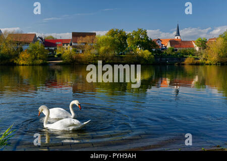 Trennfeld (partie de Triefenstein) : vue sur la rivière Main et l'église St Georg, District de Main-Spessart, Basse-Franconie, Bavière, Allemagne Banque D'Images