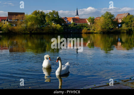 Trennfeld (partie de Triefenstein) : vue sur la rivière Main et l'église St Georg, District de Main-Spessart, Basse-Franconie, Bavière, Allemagne Banque D'Images