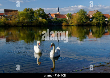 Trennfeld (partie de Triefenstein) : vue sur la rivière Main et l'église St Georg, District de Main-Spessart, Basse-Franconie, Bavière, Allemagne Banque D'Images