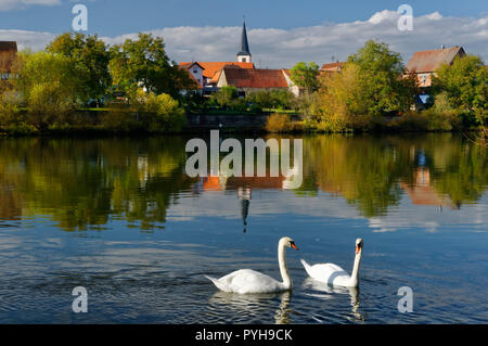 Trennfeld (partie de Triefenstein) : vue sur la rivière Main et l'église St Georg, District de Main-Spessart, Basse-Franconie, Bavière, Allemagne Banque D'Images
