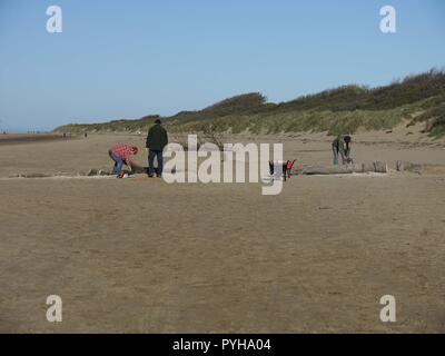 La collecte de bois de dérive hommes Burnham on sea beach Banque D'Images