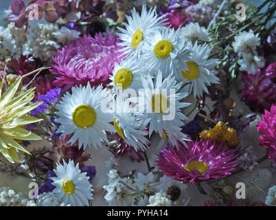 Fleurs couché sur un fond blanc Banque D'Images