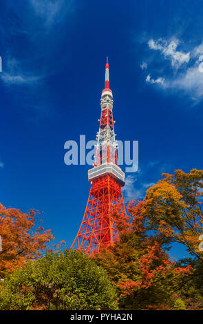 La célèbre Tour de Tokyo s'élever au-dessus des feuilles de l'automne Banque D'Images