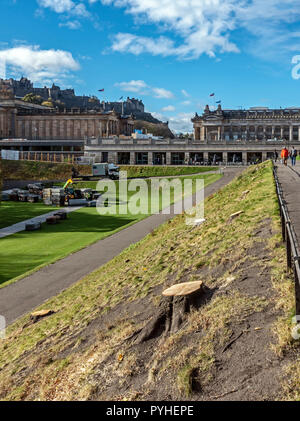 Les souches des arbres abattus dans la région de East Princes Street Gardens Edinburgh Scotland UK avec Galeries nationales d'Ecosse dans l'arrière-plan Banque D'Images