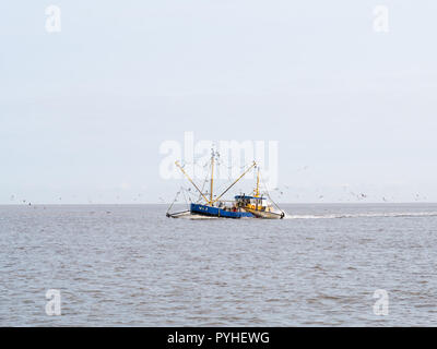 Crevettier la pêche en mer des Wadden, Pays-Bas Banque D'Images