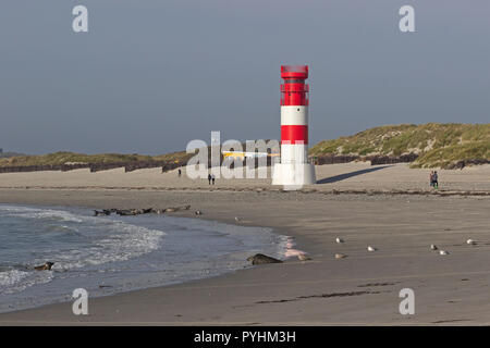 Les phoques devant le phare, Duene (dune), Helgoland, Schleswig-Holstein, Allemagne Banque D'Images