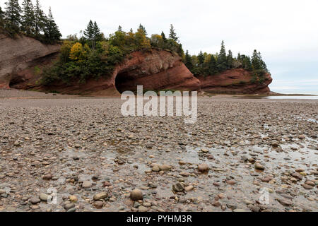 Falaises de grès rouge, de la plage, à marée basse, golfe du Saint-Laurent, l'Île du Prince Édouard, Canada, par James D. Coppinger/Dembinsky Assoc Photo Banque D'Images