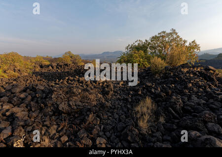 Le Volcan Paricutin, Mexique Banque D'Images