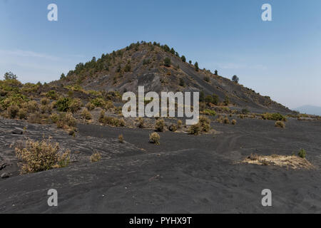 Le Volcan Paricutin, Mexique Banque D'Images