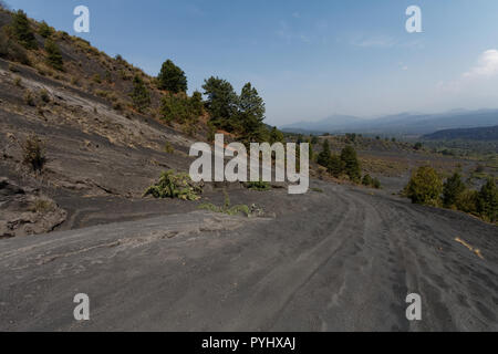 Le Volcan Paricutin, Mexique Banque D'Images