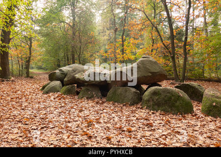 D9 hunebed dolmen à Assen, Drenthe, dans le nord des Pays-Bas Banque D'Images