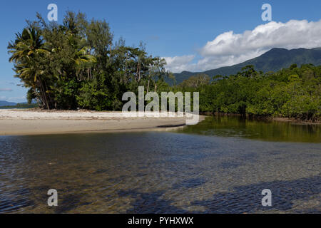 Une plage éloignée dans le Queensland, près de Cape Tribulation (Tropiques humides) Banque D'Images