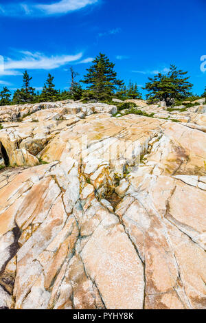 La péninsule de Schoodic sur l'océan Atlantique dans l'Acadia National Park sur la côte du Maine aux États-Unis Banque D'Images