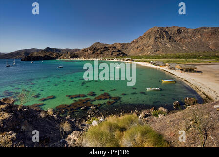 Playa El Burro à Bahia Concepcion, Baja California Sur, Mexique Banque D'Images