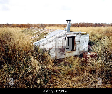 10/9/1972 chien abandonné grange près de Mary's Igloo, Alaska (ville abandonnée) Banque D'Images