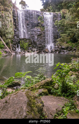 Nature à Kerikeri, Nouvelle-Zélande : roches moussues et de fougères à Wairoa Stream (Te) Wairere cascade, Far North District, Northland, Nouvelle-Zélande, île du Nord Banque D'Images