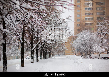 Paysage d'hiver dans la ville enneigée. Ville après une tempête de neige, l'arrière-plan. Banque D'Images