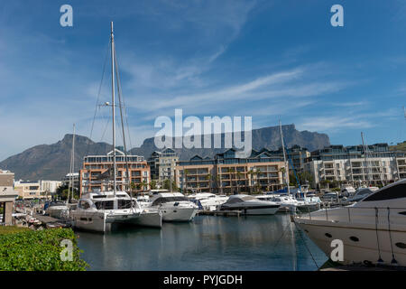 Table Mountain, Cape Town, Afrique du Sud Banque D'Images