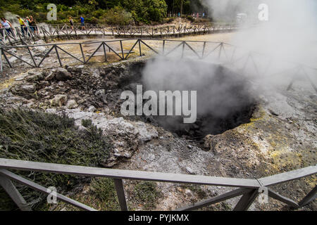 Açores - Juin 2018 : énergie géothermique dans cuisine Fumarolas da Lagoa das Furnas sur l'île de São Miguel, aux Açores. Banque D'Images